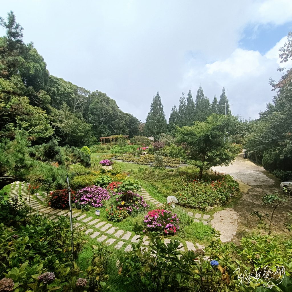 圖：野馬瞰山步道前的小花園